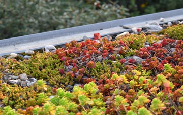 the cost of Pentridge green roof installation