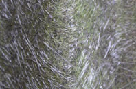 Pentridge fibreglass roof work